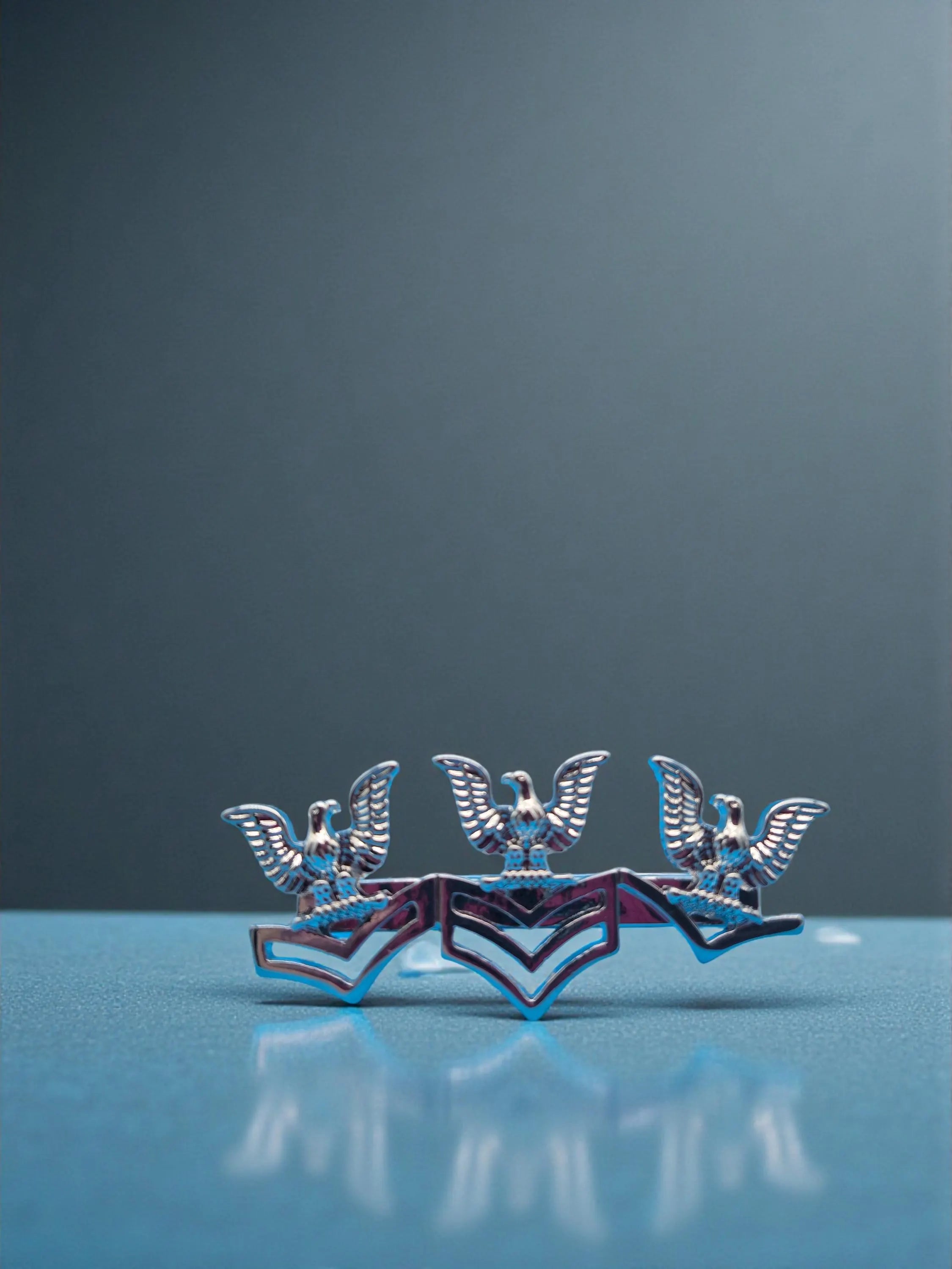 The Earned Stripes Petty Officer Ring by Deckplate Legacy
